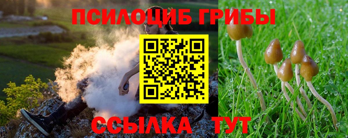 Киселёвск  Псилоцибиновые грибы MAGIC MUSHROOMS  Вход с VPN 